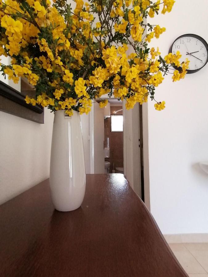 Apartment Borovi With Terrace And Parking Podaca Zewnętrze zdjęcie